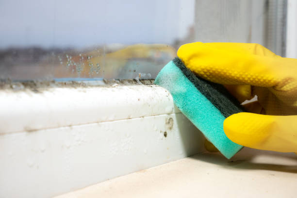 Best Mold Testing  in Orchard Hills, PA