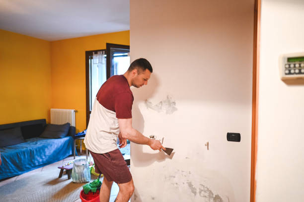 Best Commercial Mold Removal  in Orchard Hills, PA
